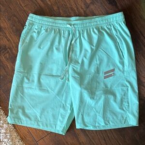 Hurley Mint Green Board Shorts